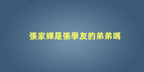張家輝是張學友的弟弟嗎？張學友和張家輝是親兄弟